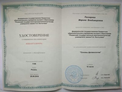 Feline Studies Certificate