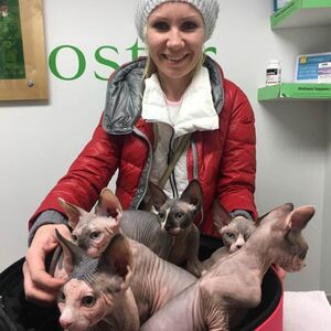 Marina at veterinary clinic with cats