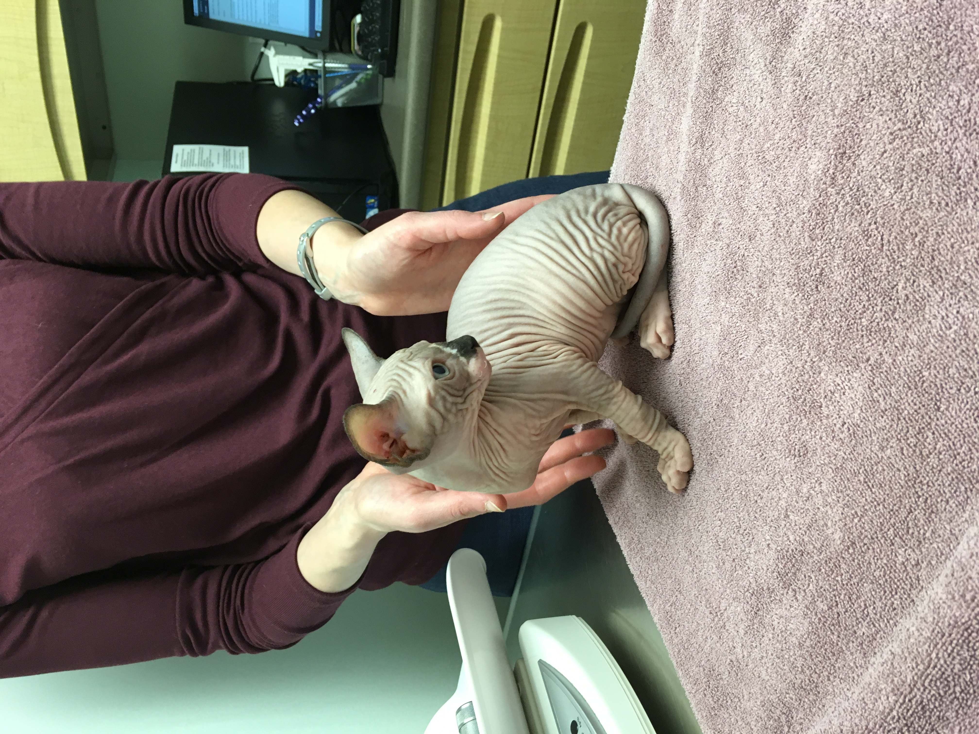 Marina at veterinary clinic